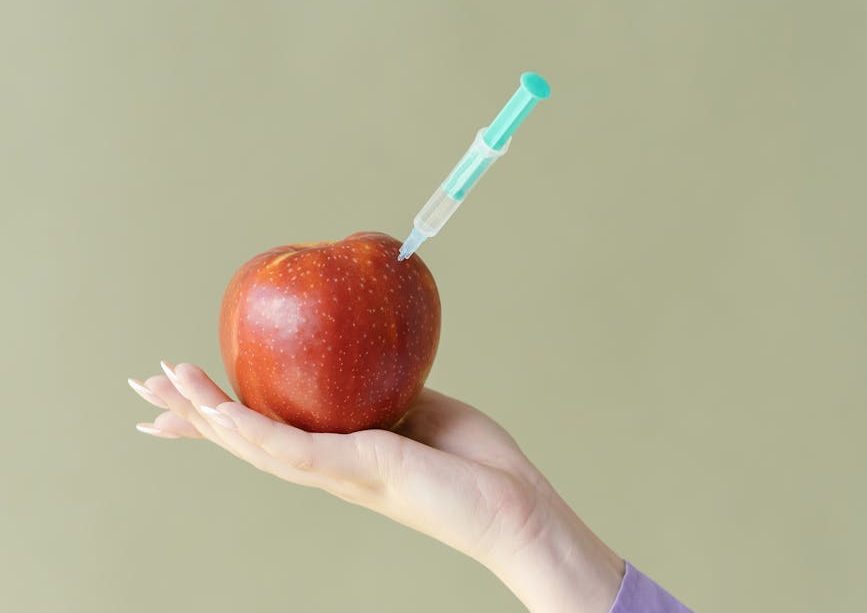 person holding red apple