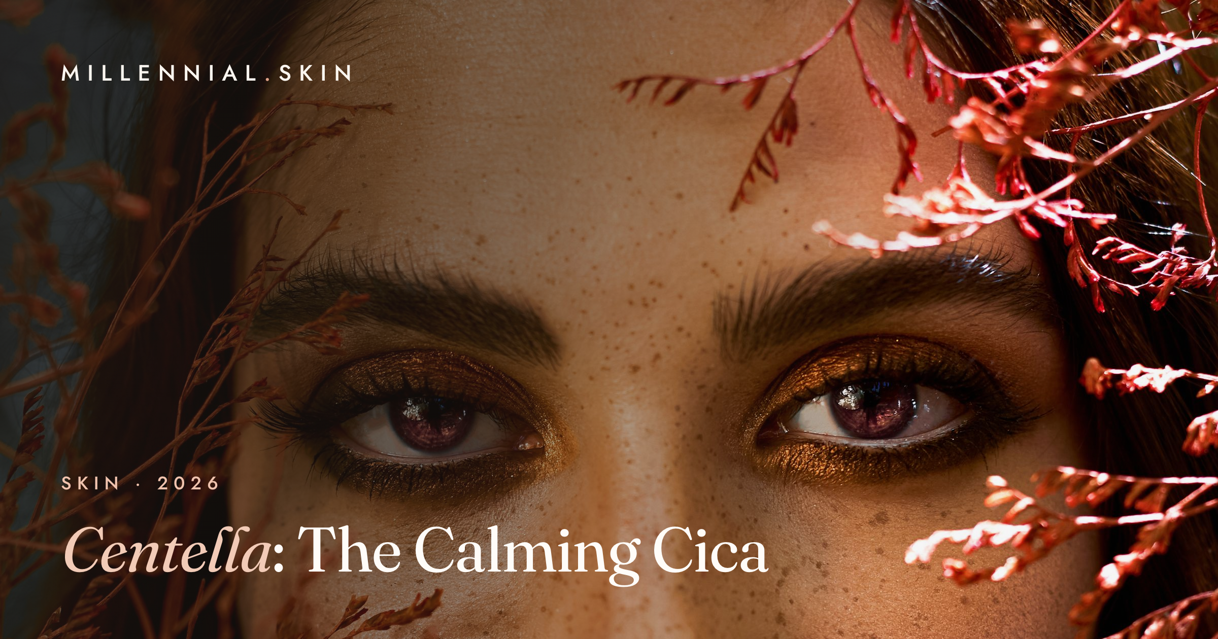 Centella (Cica): The Calming K-Beauty Ingredient for Stressed Skin in 2026